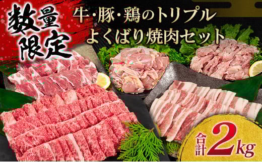 数量限定 牛肉 豚肉 鶏肉 トリプル よくばり 焼肉 セット 合計2kg 宮崎牛 ブランド牛 黒毛和牛 国産 食品 高級 贅沢 ご褒美 お祝 人気 おすすめ おかず お弁当 BBQ キャンプ グランピング お取り寄せ グルメ 詰め合わせ 大容量 宮崎県 日南市 送料無料_CB101-25