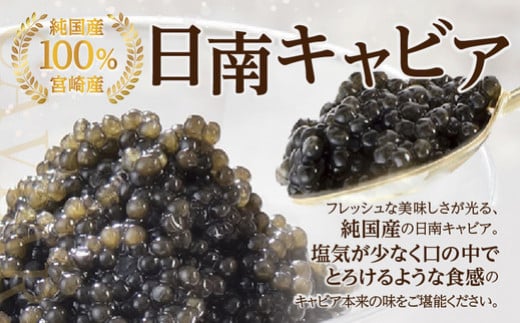 日南CAVIAR キャビア 計8g 4g × 2個 魚卵 魚介 魚貝 国産 おつまみ 世界三大珍味 グルメ 希少 贅沢 高級 上質 ご褒美 お取り寄せ 加工品 冷凍 お土産 おすすめ ギフト プレゼント 贈り物 贈答品 パーティー 個包装 おすそ分け 宮崎県 日南市 送料無料_BC79-23