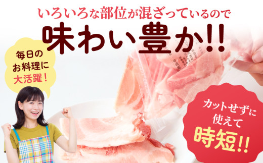 宮崎県産 豚こま切れ 計4kg 数量限定 肉 豚肉 小間切れ 豚こま 国産 食品 小分け 時短 便利 万能食材 晩ご飯 おかず お弁当 おつまみ 炒め物 煮物 豚汁 カレー 肉豆腐 冷凍 おすすめ 大容量 チャック付き袋 ギフト 贈り物 贈答 宮崎県 日南市 送料無料_D102-24