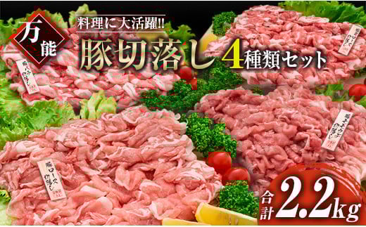 豚肉 切り落とし 4種 セット 合計2.2kg 日南市産 ポーク 国産 食品 おかず お弁当 おつまみ 万能食材 豚ロース 豚バラ 豚モモ 豚ウデ 切落し 食べ比べ 人気 おすすめ カレー 焼肉 生姜焼き 炒め物 大容量 お取り寄せ おすそ分け 宮崎県 日南市 送料無料_BC108-25