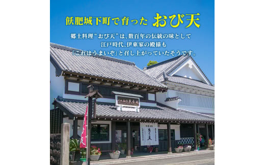 おび天 9種 よりすぐり セット 合計13枚 加工品 天ぷら 揚げ物 練り物 おかず おやつ おつまみ 惣菜 国産 グルメ 食べ比べ 詰め合わせ 名物 人気 おすすめ 厳選 ギフト 贈り物 プレゼント お土産 お取り寄せ おすそ分け 郷土料理 宮崎県 日南市 送料無料_BB111-23