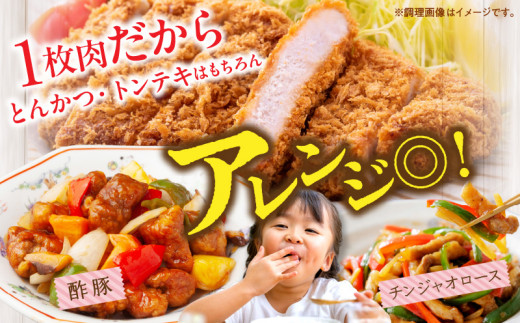 宮崎県産 豚ロース (トンテキ・とんかつ用) 計500g 肉 豚肉 ポーク 国産 食品 万能食材 真空パック 簡単調理 おかず お弁当 おつまみ 豚丼 焼肉 炒め物 カレー ステーキ おすすめ ご褒美 お祝い 記念日 日南市 送料無料_AA62-24