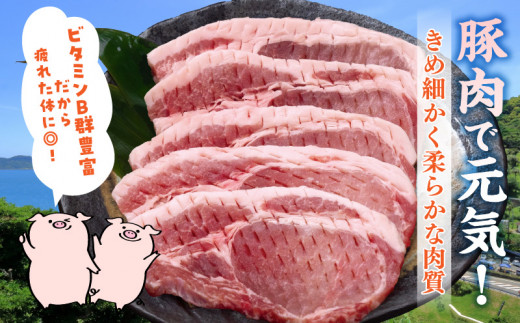 å®®åŽçç£ è±ããŒã¹ (ãã³ããã»ãšããã€çš) èš1kg è è±è ããŒã¯ åœç£ é£å äžèœé£æ ç空ãã㯠簡å調ç ããã ãåŒåœ ãã€ãŸã¿ è±äžŒ çŒè çãç© ã«ã¬ãŒ ã¹ããŒã ãããã ãè€çŸ ãç¥ã èšå¿µæ¥ æ¥ååž éæç¡æ_BC97-24