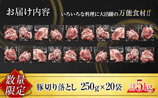小分けで便利 数量限定 豚 切り落とし 計5kg お肉 豚肉 ポーク 国産 小分け 真空パック 個包装 万能食材 おすすめ おかず 食品 炒め物 お弁当 豚丼 豚しゃぶ しゃぶしゃぶ 焼肉 お祝い 記念日 ギフト 贈り物 贈答 プレゼント おすそ分け 宮崎県 日南市 送料無料_CD61-24