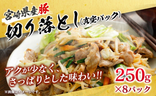 数量限定 豚肉 わくわく セット 合計3.8kg ポーク 国産 豚ロース とんかつ スライス 豚切り落とし 豚バラ しゃぶしゃぶ ミンチ 挽肉 ハンバーグ すき焼き 弁当 おかず おつまみ 万能食材 真空パック 大容量 詰め合わせ お取り寄せ 宮崎県 日南市 送料無料_CD66-25