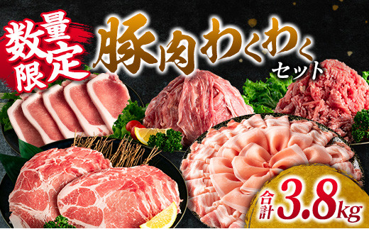 数量限定 豚肉 わくわく セット 合計3.8kg ポーク 国産 豚ロース とんかつ スライス 豚切り落とし 豚バラ しゃぶしゃぶ ミンチ 挽肉 ハンバーグ すき焼き 弁当 おかず おつまみ 万能食材 真空パック 大容量 詰め合わせ お取り寄せ 宮崎県 日南市 送料無料_CD66-25