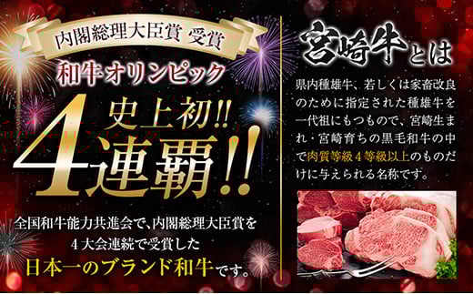宮崎牛 赤身 焼肉 黒毛和牛 小間切れ セット 合計800g 牛肉 ビーフ 国産 うで もも ブランド牛 人気 おすすめ 万能食材 食品 お取り寄せ グルメ 詰め合わせ 贅沢 ご褒美 お祝い 記念日 おかず 弁当 おつまみ BBQ 鉄板焼き おすそ分け 宮崎県 日南市 送料無料_DA20-23