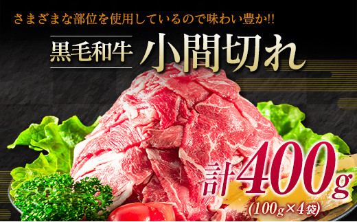 宮崎牛 赤身 焼肉 黒毛和牛 小間切れ セット 合計800g 牛肉 ビーフ 国産 うで もも ブランド牛 人気 おすすめ 万能食材 食品 お取り寄せ グルメ 詰め合わせ 贅沢 ご褒美 お祝い 記念日 おかず 弁当 おつまみ BBQ 鉄板焼き おすそ分け 宮崎県 日南市 送料無料_DA20-23
