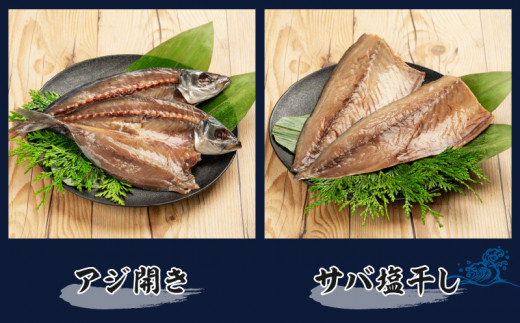 数量限定 山野水産 干物 セット 合計10枚 詰め合わせ 簡単調理 魚 魚介 加工品 食品 惣菜 おかず おつまみ 塩干し みりん干し アジ開き サバ トビウオ ひもの おすすめ 海産物 海鮮 水産加工品 ギフト 国産 宮崎県 日南市 送料無料_B232-24