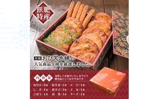 おび天 9種 よりすぐり セット 合計13枚 加工品 天ぷら 揚げ物 練り物 おかず おやつ おつまみ 惣菜 国産 グルメ 食べ比べ 詰め合わせ 名物 人気 おすすめ 厳選 ギフト 贈り物 プレゼント お土産 お取り寄せ おすそ分け 郷土料理 宮崎県 日南市 送料無料_BB111-23