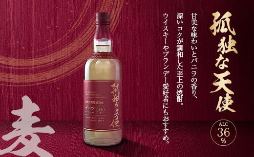 本格焼酎 飫肥杉 原酒 孤独な天使 飲み比べ セット 合計2本 アルコール 飲料 国産 お酒 地酒 晩酌 芋焼酎 デーツ焼酎 貯蔵熟成 宅呑み 家呑み 希少 ストレート ロック ソーダ割 人気 おすすめ 詰め合わせ お取り寄せ お祝 記念日 宮崎県 日南市 送料無料_CD45-23