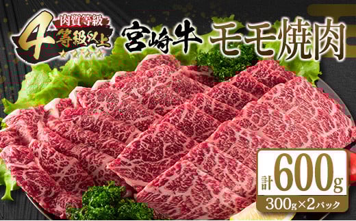 宮崎牛 モモ 焼肉 計600g 牛肉 ビーフ 黒毛和牛 赤身肉 国産 ブランド牛 おすすめ BBQ グランピング 鉄板焼き おもてなし ご褒美 お祝い 記念日 おすそ分け おかず おつまみ お弁当 お取り寄せ グルメ 4等級以上 A4ランク以上 冷凍 宮崎県 日南市 送料無料_CC67-25