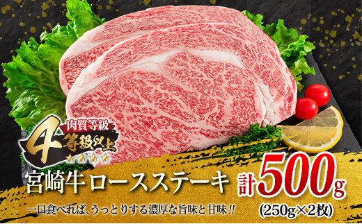 宮崎牛 ロース ステーキ 黒毛和牛 小間切れ セット 合計600g 牛肉 ビーフ 国産 万能食材 ブランド牛 おかず お弁当 おつまみ 食品 おすすめ 焼肉 バーベキュー 鉄板焼き 高級 ご褒美 お祝 記念日 お取り寄せ グルメ 冷凍 詰め合わせ 宮崎県 日南市 送料無料_F62-21
