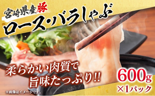数量限定 豚肉 わくわく セット 合計3.8kg ポーク 国産 豚ロース とんかつ スライス 豚切り落とし 豚バラ しゃぶしゃぶ ミンチ 挽肉 ハンバーグ すき焼き 弁当 おかず おつまみ 万能食材 真空パック 大容量 詰め合わせ お取り寄せ 宮崎県 日南市 送料無料_CD66-25