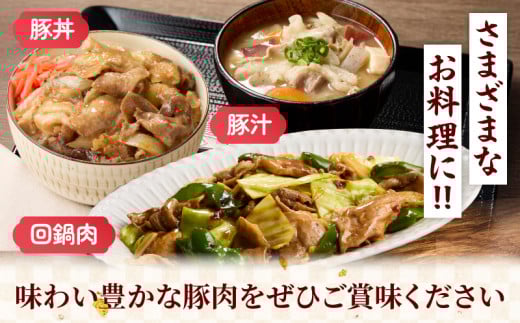 宮崎県産 豚こま切れ 計4kg 数量限定 肉 豚肉 小間切れ 豚こま 国産 食品 小分け 時短 便利 万能食材 晩ご飯 おかず お弁当 おつまみ 炒め物 煮物 豚汁 カレー 肉豆腐 冷凍 おすすめ 大容量 チャック付き袋 ギフト 贈り物 贈答 宮崎県 日南市 送料無料_D102-24