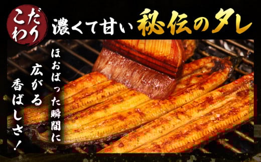 職人 手焼き うなぎ蒲焼 1尾 計130g以上 鰻 魚介類 伝統の味 秘伝のタレ 厳選 国産 ウナギ おかず 食品 加工品 真空パック 冷蔵 人気 おすすめ うな重 うな丼 惣菜 お土産 ひつまぶし うなぎ寿司 お祝い 贈り物 ギフト 贈答 プレゼント 宮崎県 日南市 送料無料_BA51-23