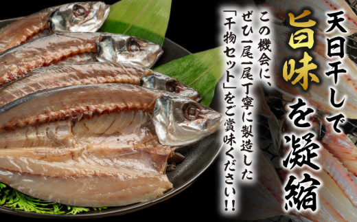 数量限定 山野水産 干物 セット 合計10枚 詰め合わせ 簡単調理 魚 魚介 加工品 食品 惣菜 おかず おつまみ 塩干し みりん干し アジ開き サバ トビウオ ひもの おすすめ 海産物 海鮮 水産加工品 ギフト 国産 宮崎県 日南市 送料無料_B232-24