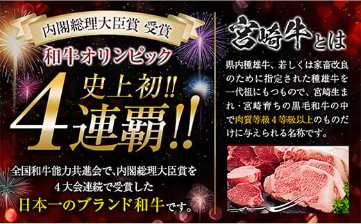 宮崎牛 モモ ステーキ 黒毛和牛 小間切れ セット 合計700g 牛肉 ビーフ 国産 ブランド牛 もも肉 おかず 食品 赤身肉 万能食材 焼肉 鉄板焼き 高級 贅沢 ご褒美 お祝い 記念日 人気 おすすめ 詰め合わせ お取り寄せ グルメ ディナー 宮崎県 日南市 送料無料_DA19-23