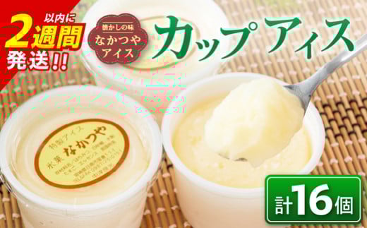 手作り アイス カップ セット 計16個 スイーツ デザート おやつ 国産 食品 加工品 お菓子 氷菓 なかつや 昔ながら 懐かしの味 ご褒美 お祝い 記念日 ギフト 贈り物 プレゼント お取り寄せ グルメ おすすめ おすそ分け 詰め合わせ 宮崎県 日南市 送料無料_CA35-23