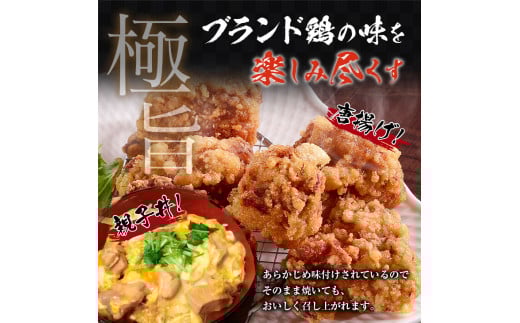 みやざき地頭鶏 計1kg 鶏肉 チキン 地頭鶏 塩味 味付き 国産 おかず 食品 加工品 惣菜 真空パック おつまみ お弁当 唐揚げ 親子丼 ブランド鶏 簡単調理 焼肉 BBQ 鉄板焼き お祝い 記念日 お取り寄せ グルメ おすそ分け 宮崎県 日南市 送料無料_BA71-23