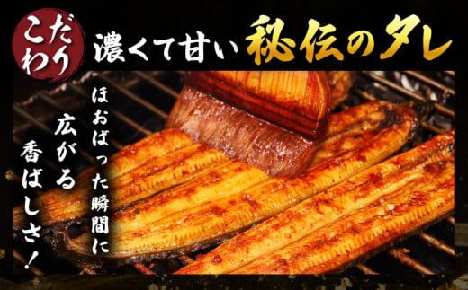 職人 手焼き うなぎ蒲焼 2尾 計260g以上 鰻 魚介類 伝統の味 秘伝のタレ 厳選 国産 ウナギ おかず 食品 加工品 真空パック 冷蔵 人気 おすすめ うな重 うな丼 惣菜 お土産 ひつまぶし うなぎ寿司 お祝い 贈り物 ギフト 贈答 プレゼント 宮崎県 日南市 送料無料_CD40-23