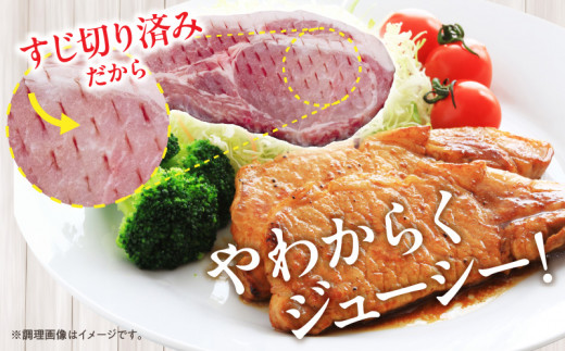 å®®åŽçç£ è±ããŒã¹ (ãã³ããã»ãšããã€çš) èš1kg è è±è ããŒã¯ åœç£ é£å äžèœé£æ ç空ãã㯠簡å調ç ããã ãåŒåœ ãã€ãŸã¿ è±äžŒ çŒè çãç© ã«ã¬ãŒ ã¹ããŒã ãããã ãè€çŸ ãç¥ã èšå¿µæ¥ æ¥ååž éæç¡æ_BC97-24