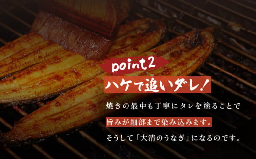 職人 手焼き うなぎ蒲焼 2尾 計260g以上 鰻 魚介類 伝統の味 秘伝のタレ 厳選 国産 ウナギ おかず 食品 加工品 真空パック 冷蔵 人気 おすすめ うな重 うな丼 惣菜 お土産 ひつまぶし うなぎ寿司 お祝い 贈り物 ギフト 贈答 プレゼント 宮崎県 日南市 送料無料_CD40-23