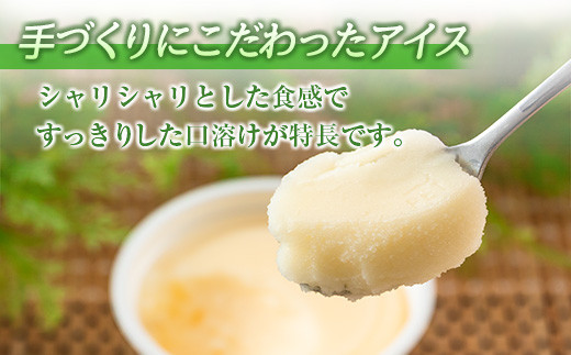 手作り アイス カップ セット 計16個 スイーツ デザート おやつ 国産 食品 加工品 お菓子 氷菓 なかつや 昔ながら 懐かしの味 ご褒美 お祝い 記念日 ギフト 贈り物 プレゼント お取り寄せ グルメ おすすめ おすそ分け 詰め合わせ 宮崎県 日南市 送料無料_CA35-23