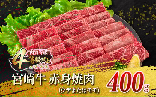 宮崎牛 赤身 焼肉 黒毛和牛 小間切れ セット 合計800g 牛肉 ビーフ 国産 うで もも ブランド牛 人気 おすすめ 万能食材 食品 お取り寄せ グルメ 詰め合わせ 贅沢 ご褒美 お祝い 記念日 おかず 弁当 おつまみ BBQ 鉄板焼き おすそ分け 宮崎県 日南市 送料無料_DA20-23
