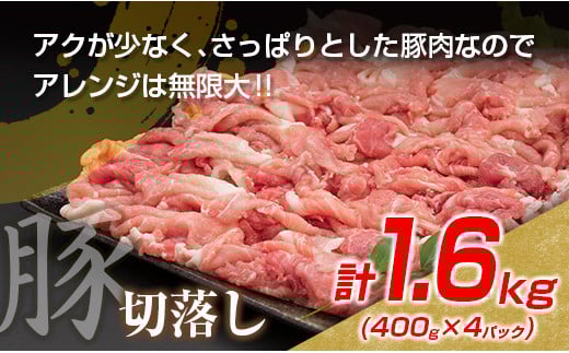 数量限定 豚肉 切り落とし 鶏肉 モモ ムネ セット 合計3.1kg 国産 食品 ポーク チキン おかず 人気 大容量 万能食材 焼肉 から揚げ 炒め物 お弁当 おつまみ 詰め合わせ 食べ比べ 小分け 便利 おすすめ グルメ お取り寄せ おすそ分け 宮崎県 日南市 送料無料_C146-25