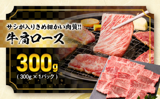 宮崎牛 宮崎県産豚 5種 食べ比べ 焼肉 セット 合計1.5kg 数量限定 肉 牛肉 豚肉 豚バラ 国産 食品 A4 A5 黒毛和牛 和牛 肩ロース モモ ウデ 豚肩ロース バーベキュー BBQ アウトドア おかず お弁当 ご褒美 お祝 記念日 贈り物 ギフト 贈答 冷凍 宮崎県 日南市 送料無料_DC25-24