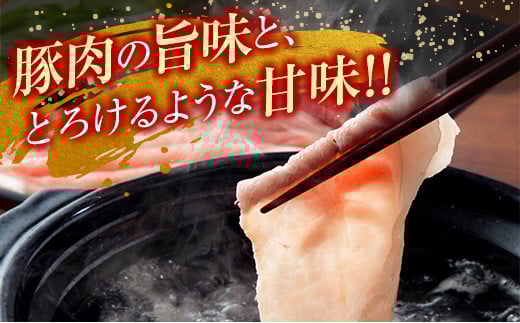 豚肉 3種 バラエティ セット 合計2kg 国産 宮崎県産 ポーク 豚ロース 切り落とし スライス おかず お弁当 おつまみ 食品 グルメ しゃぶしゃぶ とんかつ用 万能食材 焼肉 詰め合わせ 小分け 人気 おすすめ お取り寄せ おすそ分け 日南市 ミヤチク 送料無料_BB120-23