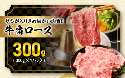 宮崎牛 宮崎県産豚 5種 食べ比べ スライス セット 合計1.5kg 数量限定 肉 牛肉 豚肉 豚バラ 国産 食品 A4 A5 黒毛和牛 和牛 肩ロース モモ ウデ すき焼き しゃぶしゃぶ 牛丼 豚しゃぶ おかず お弁当 ご褒美 お祝 記念日 贈り物 ギフト 贈答 冷凍 宮崎県 日南市 送料無料_DC24-24