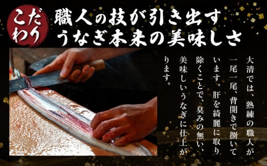 職人 手焼き うなぎ蒲焼 2尾 計260g以上 鰻 魚介類 伝統の味 秘伝のタレ 厳選 国産 ウナギ おかず 食品 加工品 真空パック 冷蔵 人気 おすすめ うな重 うな丼 惣菜 お土産 ひつまぶし うなぎ寿司 お祝い 贈り物 ギフト 贈答 プレゼント 宮崎県 日南市 送料無料_CD40-23