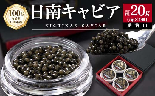 日南CAVIAR キャビア 5g 4個 計20g 魚卵 魚介 国産 食品 加工品 高級食材 贅沢 三大珍味 黒いダイヤ おつまみ ご褒美 記念日 お祝い パーティー オードブル 個包装 ギフト 贈り物 贈答 プレゼント お取り寄せ グルメ おすすめ 水産物 宮崎県 日南市 送料無料_FD3-23