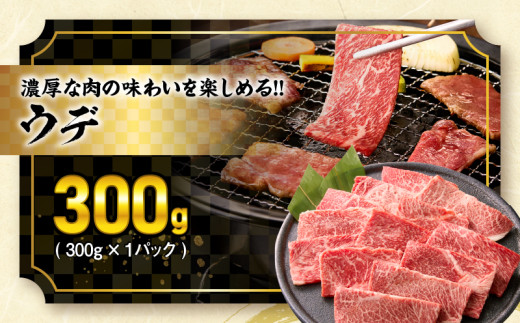 宮崎牛 宮崎県産豚 5種 食べ比べ 焼肉 セット 合計1.5kg 数量限定 肉 牛肉 豚肉 豚バラ 国産 食品 A4 A5 黒毛和牛 和牛 肩ロース モモ ウデ 豚肩ロース バーベキュー BBQ アウトドア おかず お弁当 ご褒美 お祝 記念日 贈り物 ギフト 贈答 冷凍 宮崎県 日南市 送料無料_DC25-24