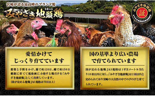 6種類 具材入り みやざき地頭鶏 つみれ 鍋 セット 4 〜 5人前 数量限定 鶏肉 チキン 国産 食品 地鶏 もも むね 手羽元 手羽先 ウインナー 鍋つゆ ブランド鶏 ご褒美 真空冷凍 おすすめ 贈り物 ギフト プレゼント お取り寄せ グルメ 宮崎県 日南市 送料無料_DA21-23
