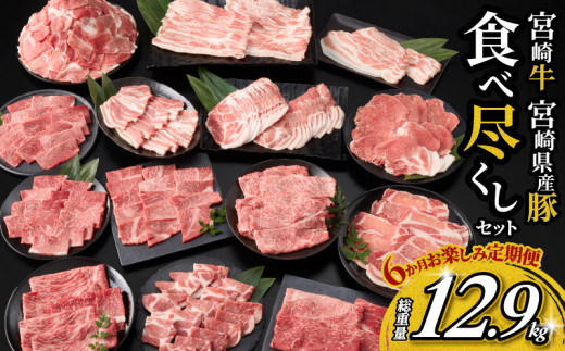 6か月 お楽しみ 定期便 宮崎牛 宮崎県産豚 食べ尽くし セット 総重量12.9kg 数量限定 6回 肉 牛肉 豚肉 国産 食品 黒毛和牛 小分け ロース 豚バラ 小間切れ スライス 焼肉 しゃぶしゃぶ すき焼き おかず 冷凍 おすすめ ギフト 宮崎県 日南市 送料無料_P1-24