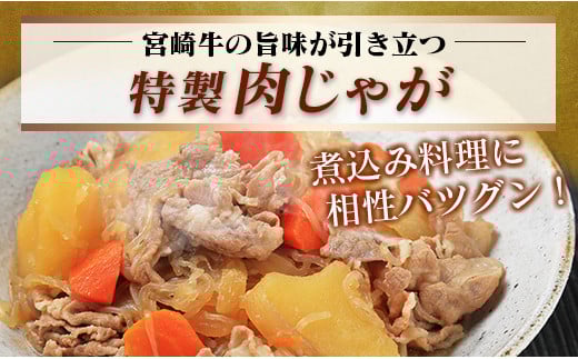 宮崎牛 赤身 モモ ウデ 切落し セット 計800g 牛肉 ビーフ 黒毛和牛 国産 ブランド牛 食品 もも うで 切り落とし 高級 贅沢 ご褒美 お祝い 記念日 人気 おすすめ カレー シチュー ハヤシライス 牛丼 おかず 冷凍 お取り寄せ グルメ 宮崎県 日南市 送料無料_DA46-25
