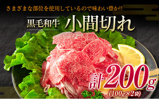 宮崎牛 モモ ステーキ 黒毛和牛 小間切れ セット 合計700g 牛肉 ビーフ 国産 ブランド牛 もも肉 おかず 食品 赤身肉 万能食材 焼肉 鉄板焼き 高級 贅沢 ご褒美 お祝い 記念日 人気 おすすめ 詰め合わせ お取り寄せ グルメ ディナー 宮崎県 日南市 送料無料_DA19-23