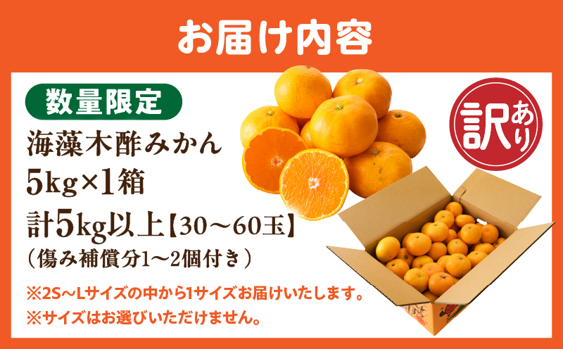 訳あり 数量限定 海藻木酢みかん 計 5kg 以上 傷み補償分入り フルーツ 果物 くだもの 柑橘 みかん 国産 期間限定 みかんジュース 食品 家庭用 自宅用 B品 わけあり オレンジ デザート おやつ おすすめ おすそ分け ご褒美 産地直送 宮崎県 日南市 送料無料_A94-25