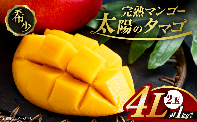 完熟マンゴー 太陽のタマゴ 4L × 2玉 期間限定 数量限定 宮崎 マンゴー フルーツ 果物 くだもの 国産 食品 ブランドマンゴー 糖度15度以上 希少 濃厚 デザート おすすめ 冷蔵 ご褒美 贅沢 おすそわけ 化粧箱入り ギフト 贈り物 贈答 日南市 送料無料_IG5-25