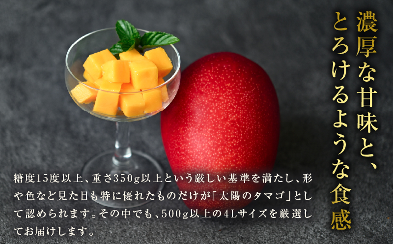 完熟マンゴー 太陽のタマゴ 4L × 2玉 期間限定 数量限定 宮崎 マンゴー フルーツ 果物 くだもの 国産 食品 ブランドマンゴー 糖度15度以上 希少 濃厚 デザート おすすめ 冷蔵 ご褒美 贅沢 おすそわけ 化粧箱入り ギフト 贈り物 贈答 日南市 送料無料_IG5-25