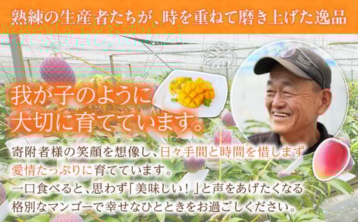 リピーター続出!!宮崎県産 完熟 マンゴー 2L以上×4玉 令和8年発送分 数量限定 フルーツ 果物 果汁 希少 濃厚 ジューシー 贅沢 上質 ご褒美 人気 国産 食品 おやつ デザート 産地直送 おすすめ ギフト プレゼント 贈り物 お土産 手土産 南国 日南市 送料無料_ED10-25
