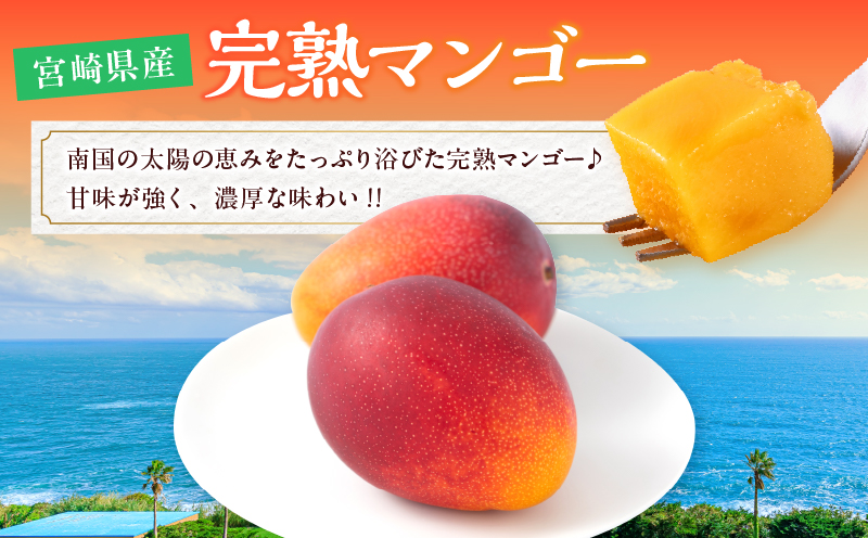 数量限定 宮崎県産 完熟マンゴー 3玉 計750g以上 期間限定 フルーツ スイーツ 果物 くだもの 食品 グルメ デザート 国産 産地直送 人気 おすすめ おやつ 高級 ご褒美 贅沢 贈り物 ギフト プレゼント 令和8年発送分 宮崎県 日南市 送料無料_CD74-25