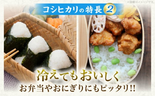 令和8年産 新米 コシヒカリ 計10kg お米 ご飯 ライス 国産 数量限定 期間限定 人気 食品 精米 白米 こしひかり 有洗米 おにぎり お弁当 炊き込みご飯 雑炊 ギフト プレゼント 贈り物 お取り寄せ 産地直送 宮崎県 日南市 送料無料_D131-26