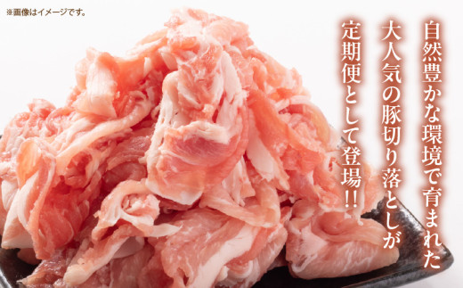 数量限定 6か月 お楽しみ 定期便 小分けで便利 豚 切り落とし 総重量18kg お肉 豚肉 国産 小分け 真空パック 個包装 万能食材 おすすめ おかず 食品 お弁当 豚丼 しゃぶしゃぶ お祝い 記念日 宮崎県 日南市 送料無料_KD1-24