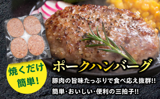 粗挽き ウインナー 90g×4パック ポークハンバーグ 100g×8個 お試しセット 国産 豚肉 ソーセージ 加工品 おかず お弁当 おつまみ 食品 BBQ バーベキュー 焼肉 人気 おすすめ 詰め合わせ 簡単調理 小分け お取り寄せ グルメ ミヤチク 宮崎県 日南市 送料無料_BA94-25