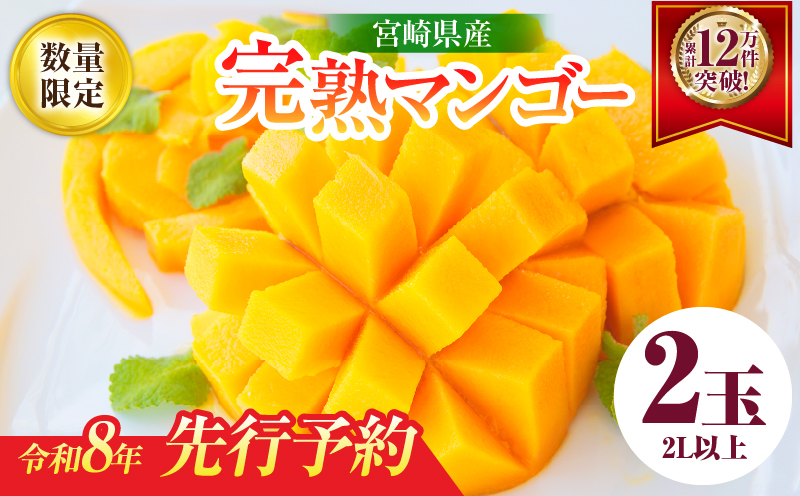 リピーター続出!!宮崎県産 完熟 マンゴー 2L以上×2玉 令和8年発送分 数量限定 フルーツ 果物 果汁 希少 濃厚 ジューシー 贅沢 上質 ご褒美 人気 国産 食品 おやつ デザート 産地直送 おすすめ ギフト プレゼント 贈り物 お土産 手土産 南国 日南市 送料無料_C123-24
