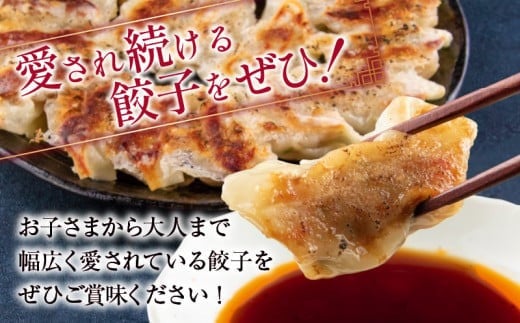 焼くだけ!!簡単調理 本格 肉 餃子 20個 × 10パック 計200個 小分け ぎょうざ ギョーザ 加工品 国産 惣菜 戸村本店 特製餃子 自家製餃子 人気 おすすめ おかず おつまみ お弁当 おすそ分け お土産 贈り物 ギフト 贈答 プレゼント 宮崎県 日南市 送料無料_DB33-25